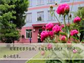 （2024新课标）教科版科学一年级上册1单元-6 校园里的植物-PPT课件+视频图片素材