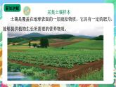 【新课标】苏教版（2017）科学三年级上册 2.4土壤的成分 课件+教案+素材