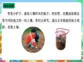 【新课标】苏教版（2017）科学三年级上册 2.4土壤的成分 课件+教案+素材
