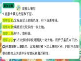 【新课标】苏教版（2017）科学三年级上册 2.6肥沃的土壤 课件+教案+素材