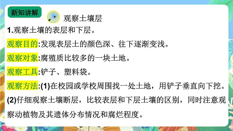 【新课标】苏教版（2017）科学三年级上册 2.6肥沃的土壤 课件+教案+素材03