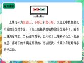 【新课标】苏教版（2017）科学三年级上册 2.6肥沃的土壤 课件+教案+素材