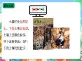 【新课标】苏教版（2017）科学三年级上册 2.6肥沃的土壤 课件+教案+素材