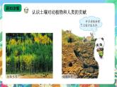 【新课标】苏教版（2017）科学三年级上册 2.7保护土壤 课件+教案+素材