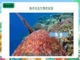 【新课标】苏教版（2017）科学三年级上册 4.14 海洋 课件+教案+素材