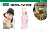 【新课标】苏教版（2017）科学三年级上册 5.18食物的旅行（苏教版）课件+教案+素材