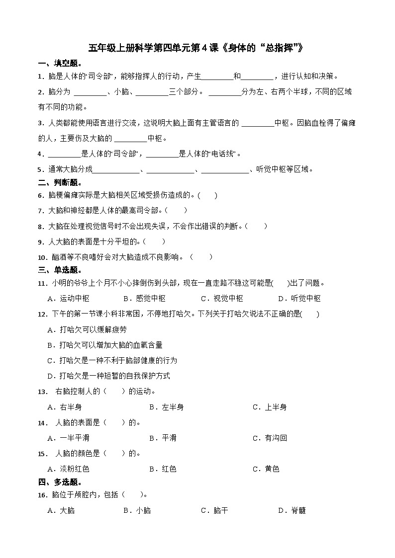 第四单元第4课《身体的“总指挥”》同步练习-2024-2025学年五年级上册科学（教科版）01