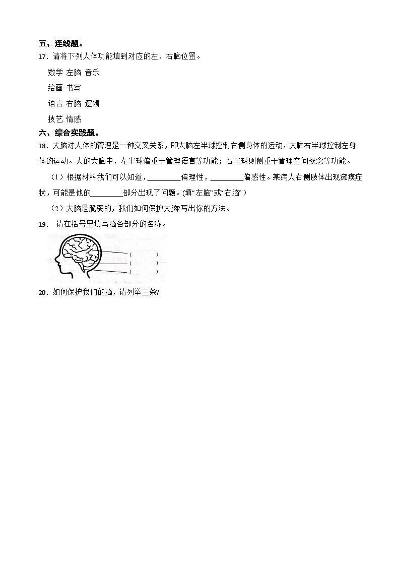 第四单元第4课《身体的“总指挥”》同步练习-2024-2025学年五年级上册科学（教科版）02