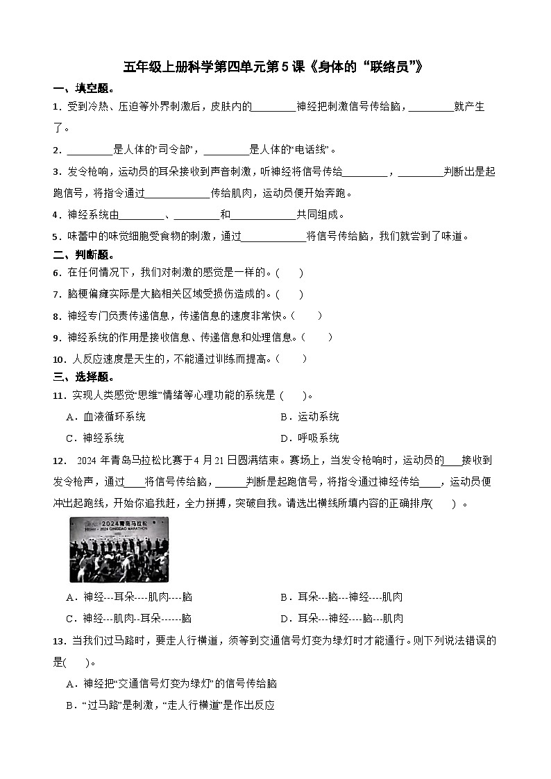 第四单元第5课《身体的“联络员”》同步练习-2024-2025学年五年级上册科学（教科版）01