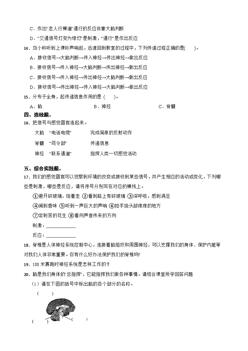 第四单元第5课《身体的“联络员”》同步练习-2024-2025学年五年级上册科学（教科版）02