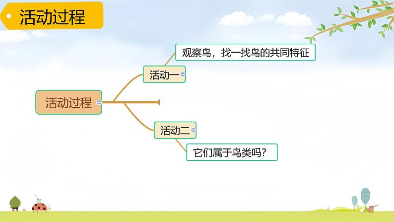 青岛版六三制科学四上第1单元第3课鸟PPT课件+视频03