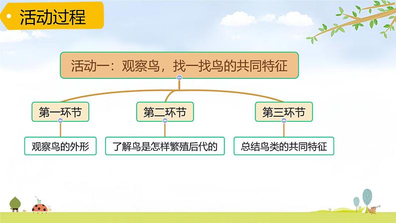 青岛版六三制科学四上第1单元第3课鸟PPT课件+视频04