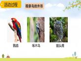 青島版六三制科學(xué)四上第1單元第3課鳥PPT課件+視頻