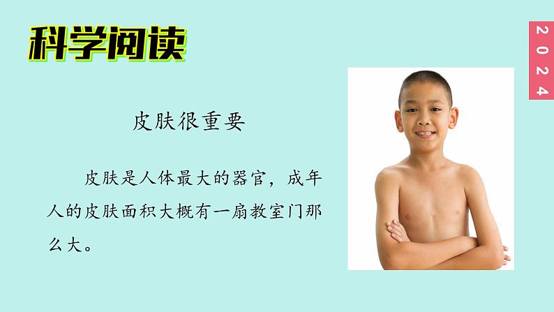 （2024新课标）教科版科学一年级上册2单元-8 科学阅读 皮肤很重要 残障认识的助手-PPT课件+视频图片素材03