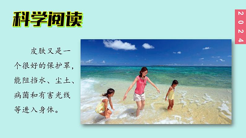 （2024新课标）教科版科学一年级上册2单元-8 科学阅读 皮肤很重要 残障认识的助手-PPT课件+视频图片素材05