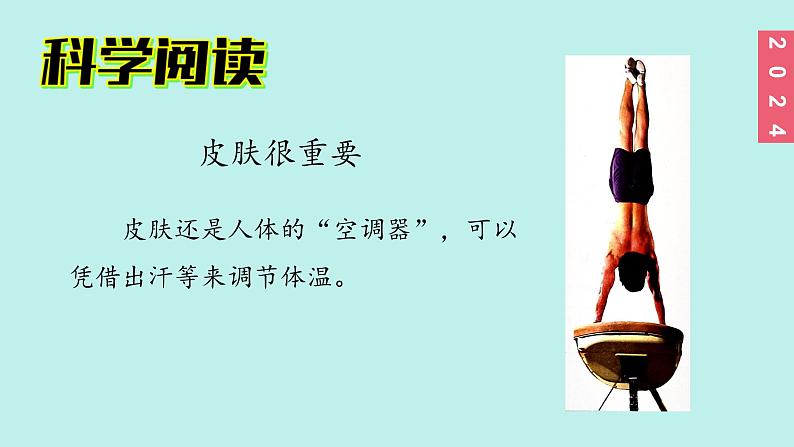 （2024新课标）教科版科学一年级上册2单元-8 科学阅读 皮肤很重要 残障认识的助手-PPT课件+视频图片素材06