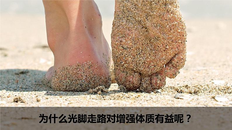 （2024新课标）教科版科学一年级上册2单元-8 科学阅读 皮肤很重要 残障认识的助手-PPT课件+视频图片素材07