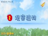 （2024新课标）教科版科学一年级上册1单元-2 观察植物-PPT课件+视频图片素材