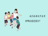 （2024新课标）教科版科学一年级上册2单元-3 游戏中的观察-PPT课件+视频图片素材