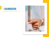 （2024新课标）教科版科学一年级上册2单元-3 游戏中的观察-PPT课件+视频图片素材