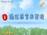 （2024新课标）教科版科学一年级上册2单元-5 通过感官来发现-PPT课件+视频图片素材 - 副本