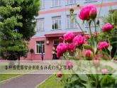 （2024新课标）教科版科学一年级上册2单元-5 通过感官来发现-PPT课件+视频图片素材 - 副本