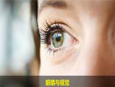 （2024新课标）教科版科学一年级上册2单元-5 通过感官来发现-PPT课件+视频图片素材 - 副本
