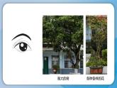 （2024新课标）教科版科学一年级上册2单元-5 通过感官来发现-PPT课件+视频图片素材 - 副本