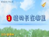 （2024新课标）教科版科学一年级上册1单元-3 植物长在哪里-PPT课件+视频图片素材