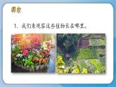 （2024新课标）教科版科学一年级上册1单元-3 植物长在哪里-PPT课件+视频图片素材