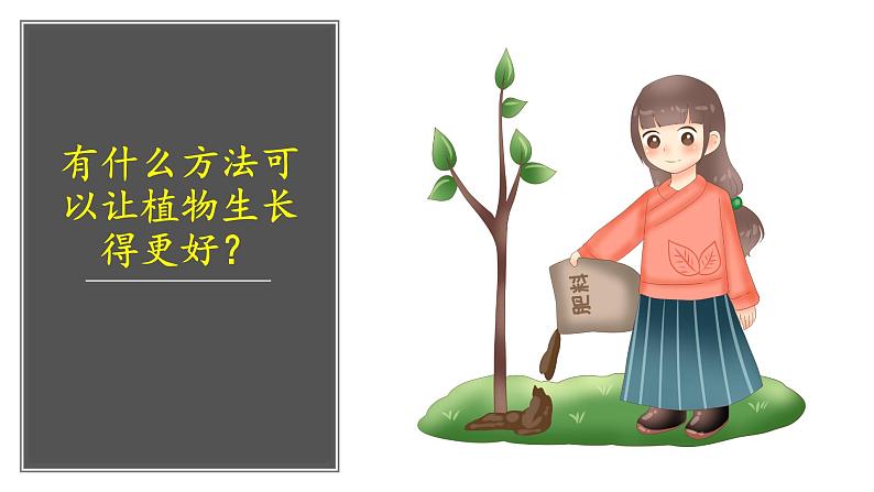 （2024新课标）教科版科学一年级上册1单元-3 植物长在哪里-PPT课件+视频图片素材08