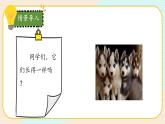 【核心素养】冀人版科学六年级上册2.相似与差异 同步课件+同步练习+教学设计