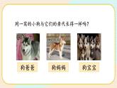 【核心素养】冀人版科学六年级上册2.相似与差异 同步课件+同步练习+教学设计