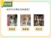 【核心素养】冀人版科学六年级上册2.相似与差异 同步课件+同步练习+教学设计