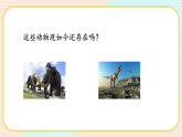 【核心素养】冀人版科学六年级上册3.化石里的古生物 同步课件+同步练习+教学设计