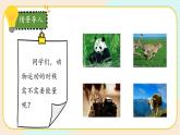 【核心素养】冀人版科学六年级上册13.动物与能量 同步课件+同步练习+教学设计