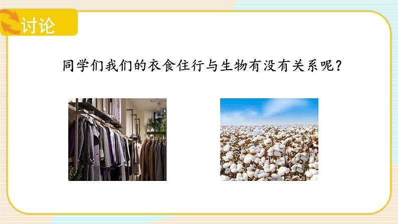 【核心素养】冀人版科学六年级上册17.保护生物 同步课件第6页