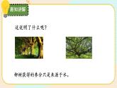 【核心素养】冀人版科学六年级上册12.植物的能量 同步课件+同步练习+教学设计