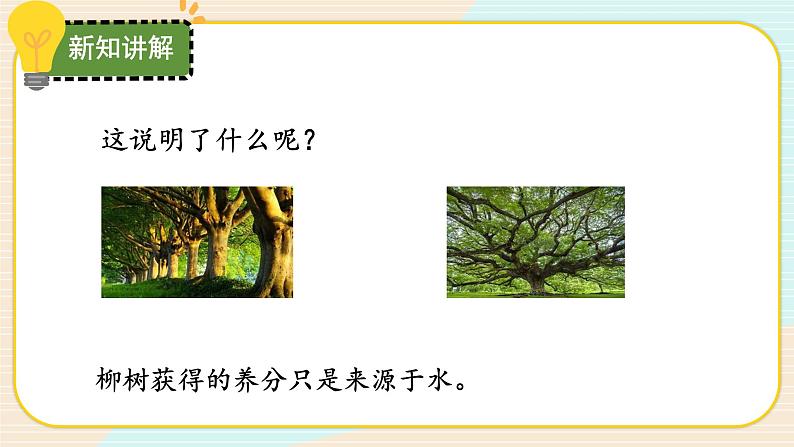 【核心素养】冀人版科学六年级上册12.植物的能量 同步课件+同步练习+教学设计05