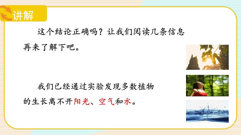 【核心素养】冀人版科学六年级上册12.植物的能量 同步课件+同步练习+教学设计06