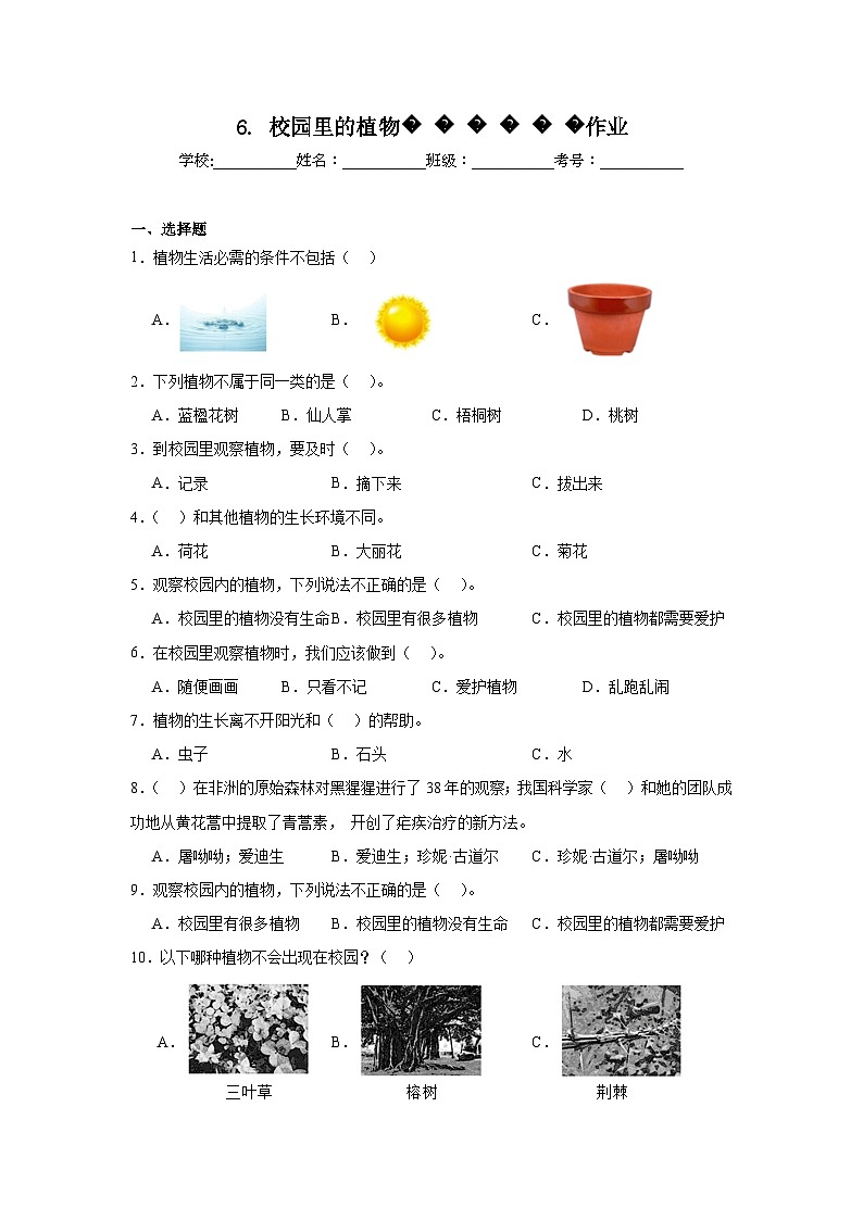 6.校园里的植物作业01