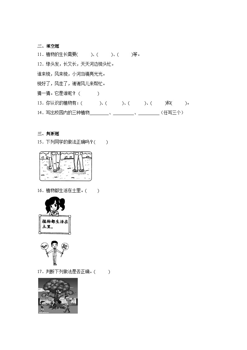 6.校园里的植物作业02