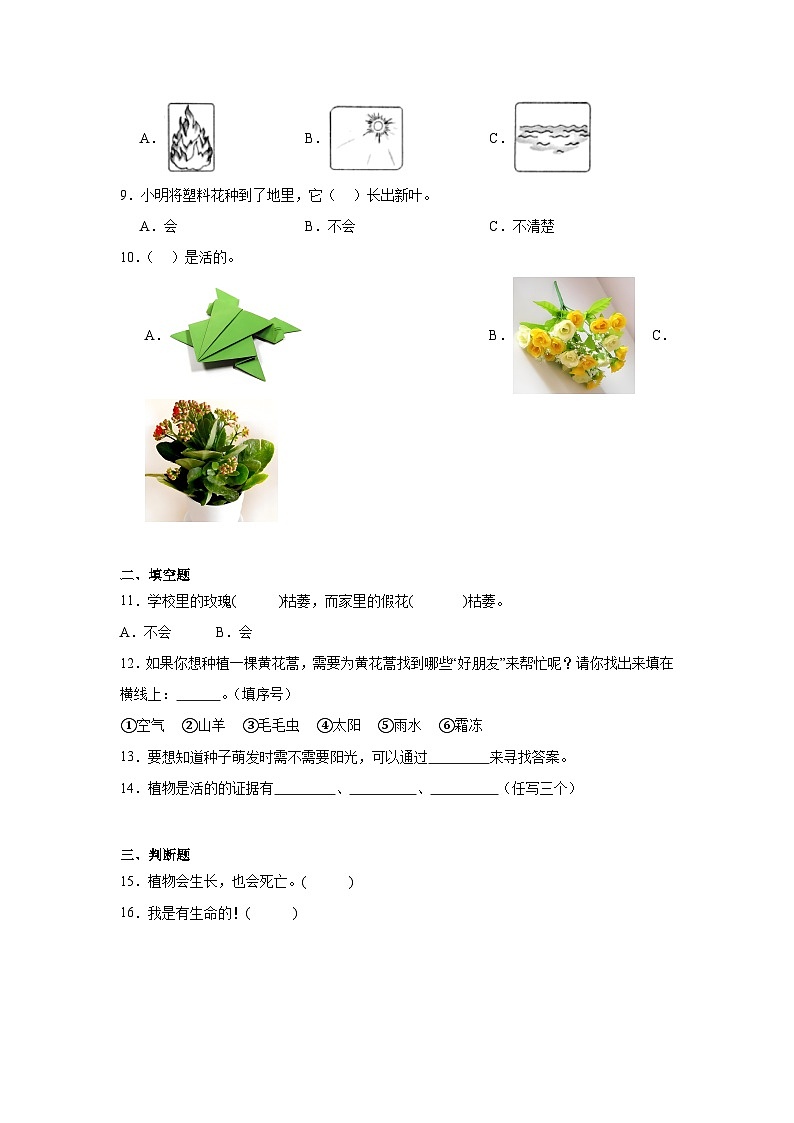 5.植物是“活”的吗作业02