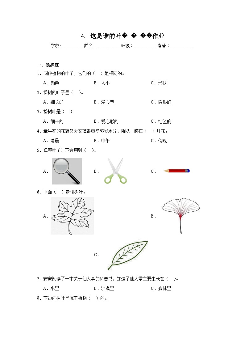 4.这是谁的叶作业第1页