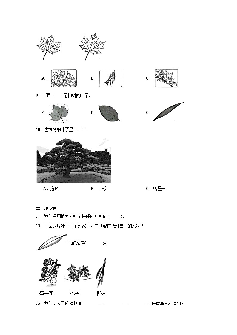 4.这是谁的叶作业第2页