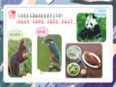 苏教版小学科学一年级上册4.2 人工世界 课件+视频素材