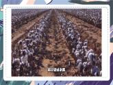 苏教版小学科学一年级上册4.1 自然物与人造物 课件+视频素材