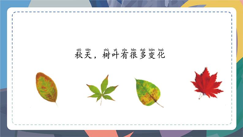 苏教版小学科学一年级上册3.3 探究秋叶的秘密 课件+视频素材03