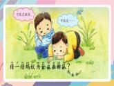 苏教版小学科学一年级上册3.1 事实与猜想 课件+视频素材