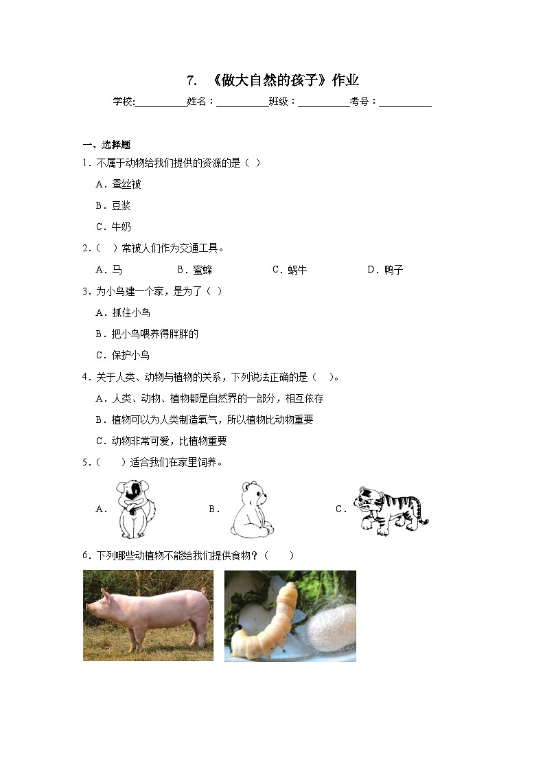 7.《做大自然的孩子》作业01